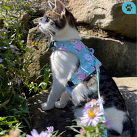 SécurCat™ | Harnais Réfléchissant & Laisse LeChatCharmant