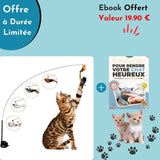 FunBird™ | Jouet Interactif Jouet Interactif LeChatCharmant Pack Spécial (1 Canne + 1 VENTOUSE + 5 Oiseaux + Ebook Offert) Orange 