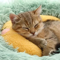 LuneSoft™ | Oreiller de couchage pour chat LeChatCharmant 