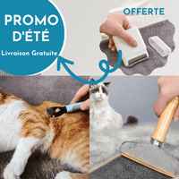 BestBrush™ | Brosse Professionnelle Brosse LeChatCharmant Pack de 3 (1Brosse BestBrush™ +1 Brosse TopClean™ + Mini Brosse Offerte) 