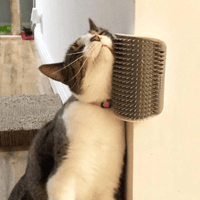 CatJoy™ | Brosse pour chat brosse LeChatCharmant 