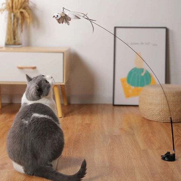 FunBird™ | Jouet Interactif pour CHAT 0 LeChatCharmant 